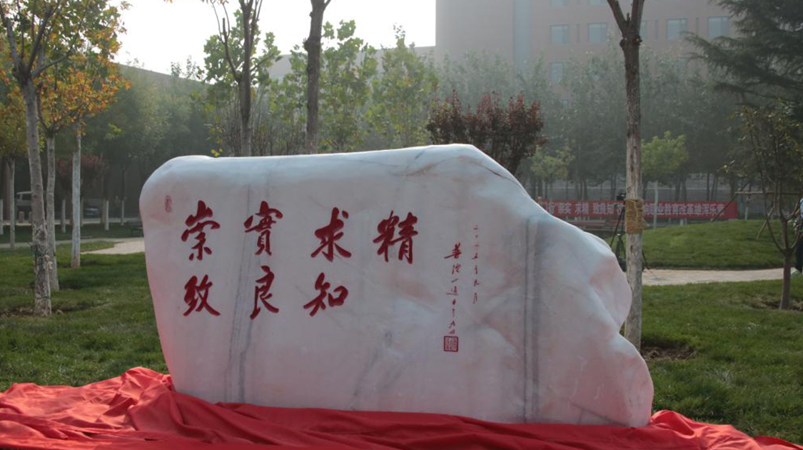 天津中德应用技术大学