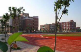 攀枝花市煤业集团有限责任公司十一中学