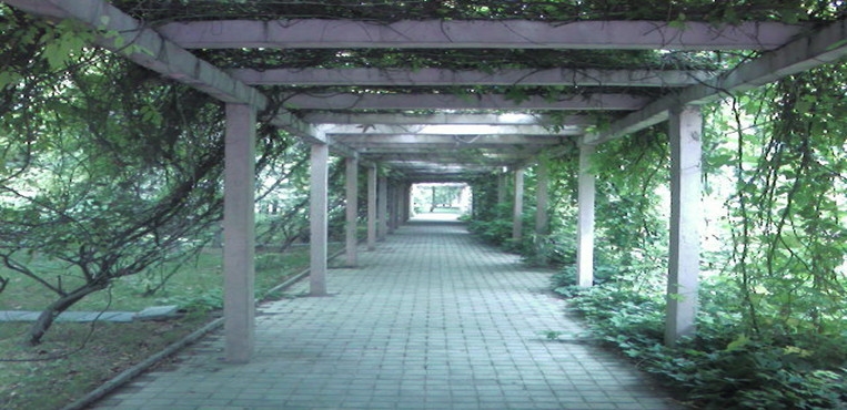 石家庄外国语职业学院
