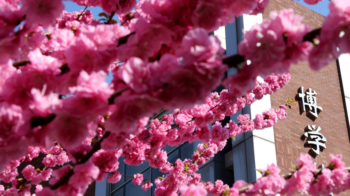 首都经济贸易大学