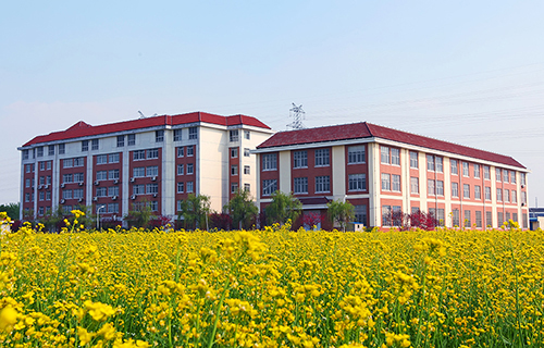 新艺学校