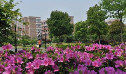 桐乡市第九中学