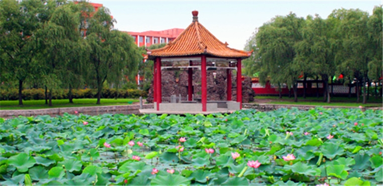 鹤岗师范高等专科学校