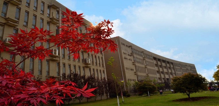 武昌职业学院