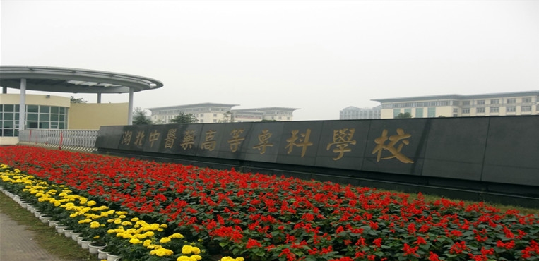 湖北中医药高等专科学校