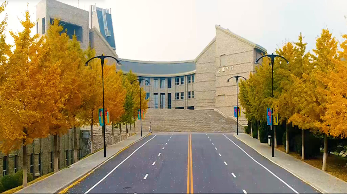 大连东软信息学院