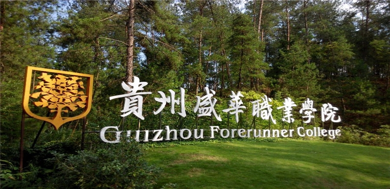 贵州盛华职业学院