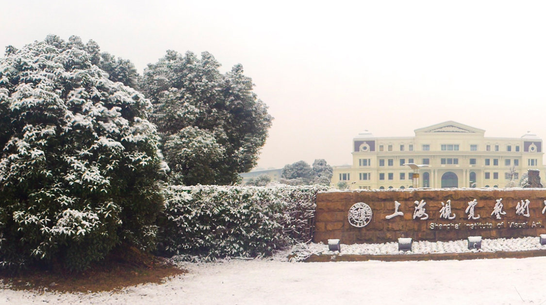 上海视觉艺术学院