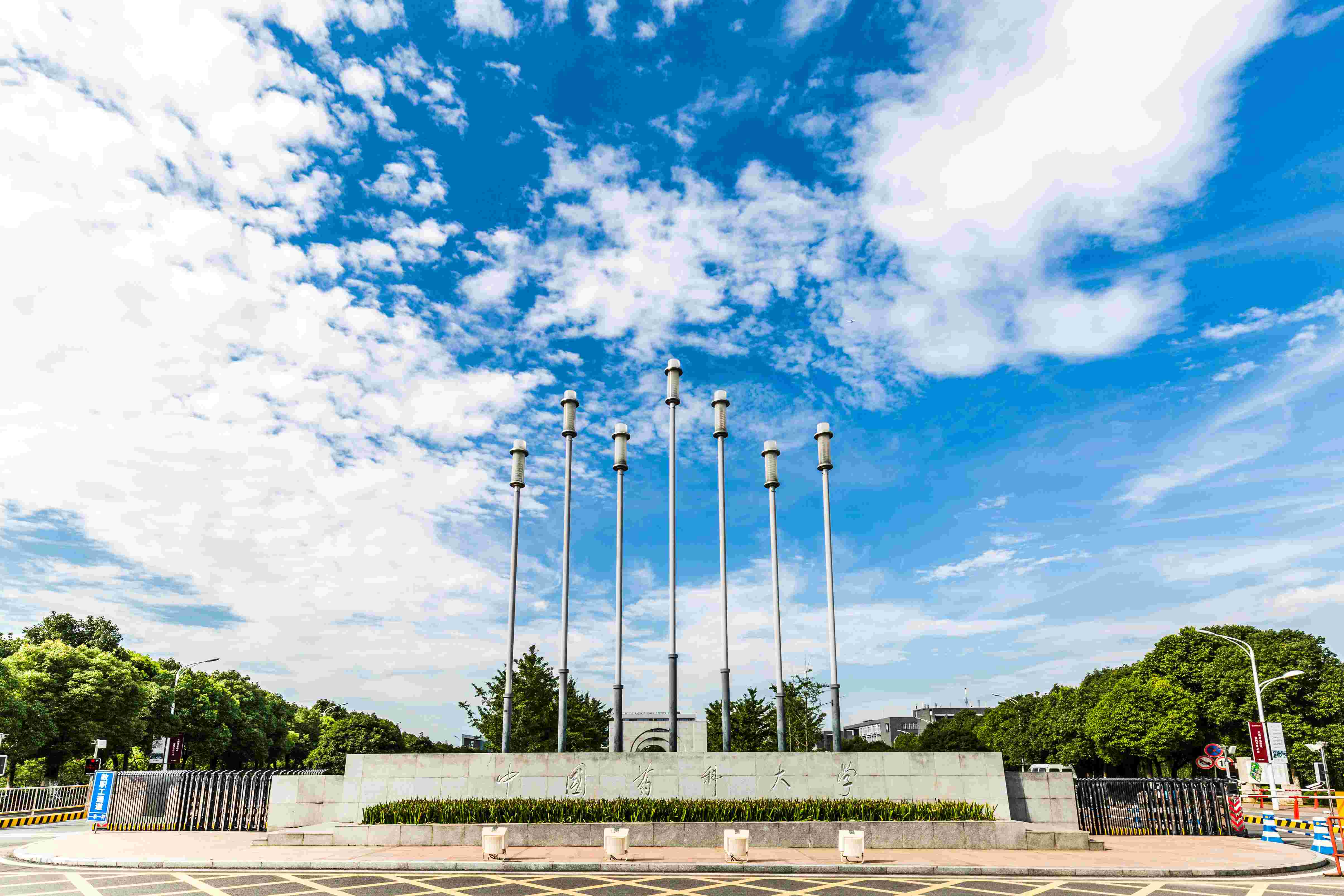 中国药科大学