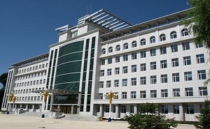 北京市丰台区大灰厂中学