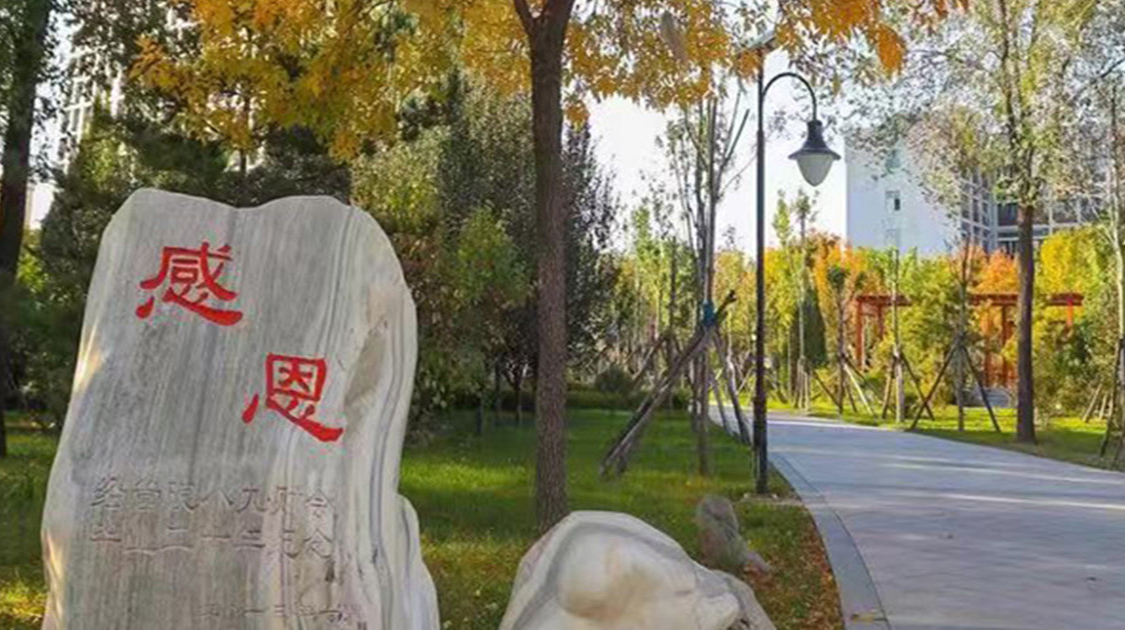 山西财经大学中德学院