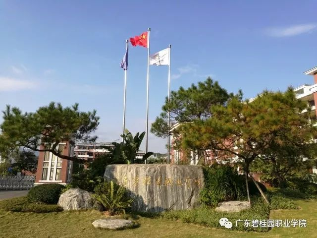 广东碧桂园职业学院