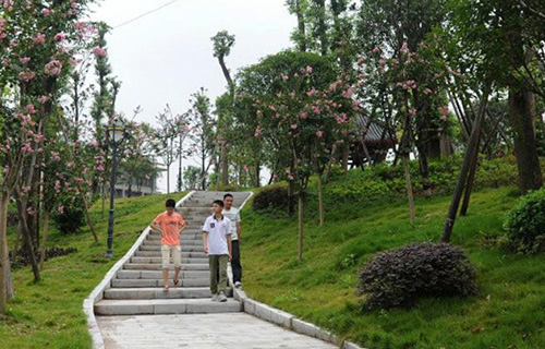 重庆市璧山中学校