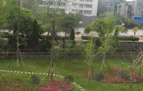 金堂县竹篙镇竹篙中学