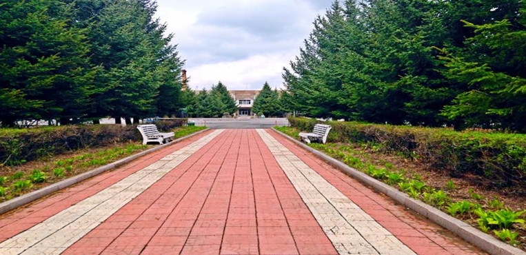 伊春职业学院