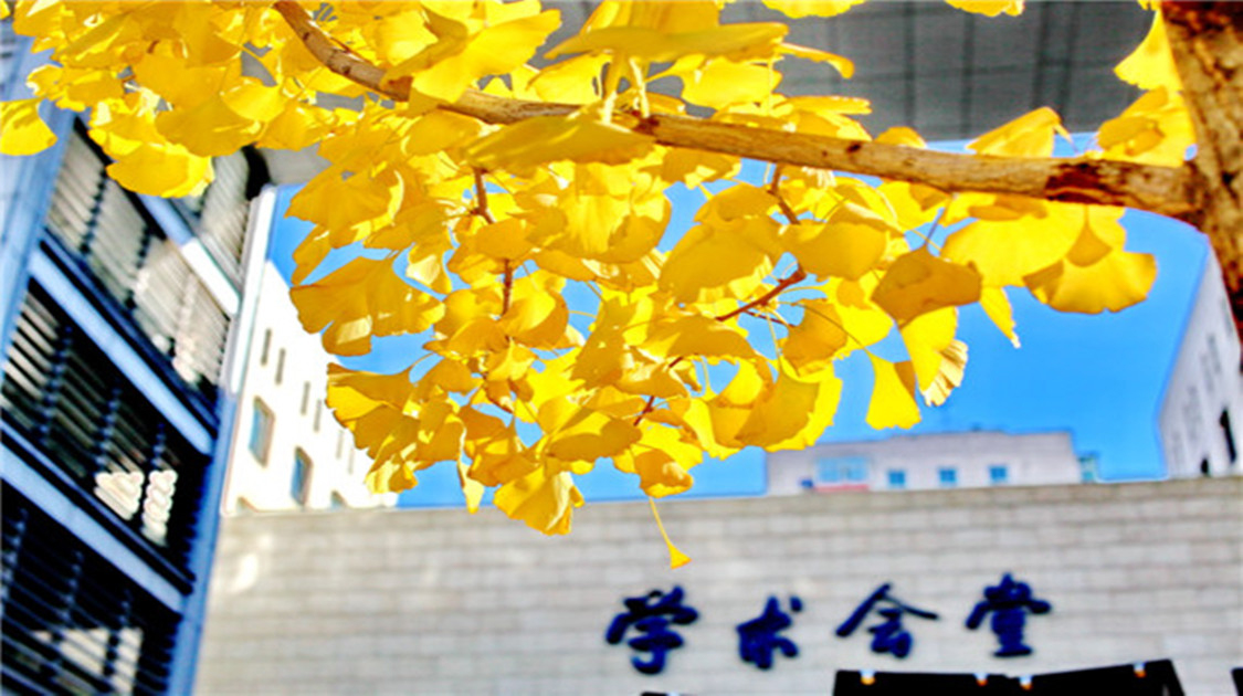 中央财经大学