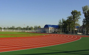 北京市第一九五中学