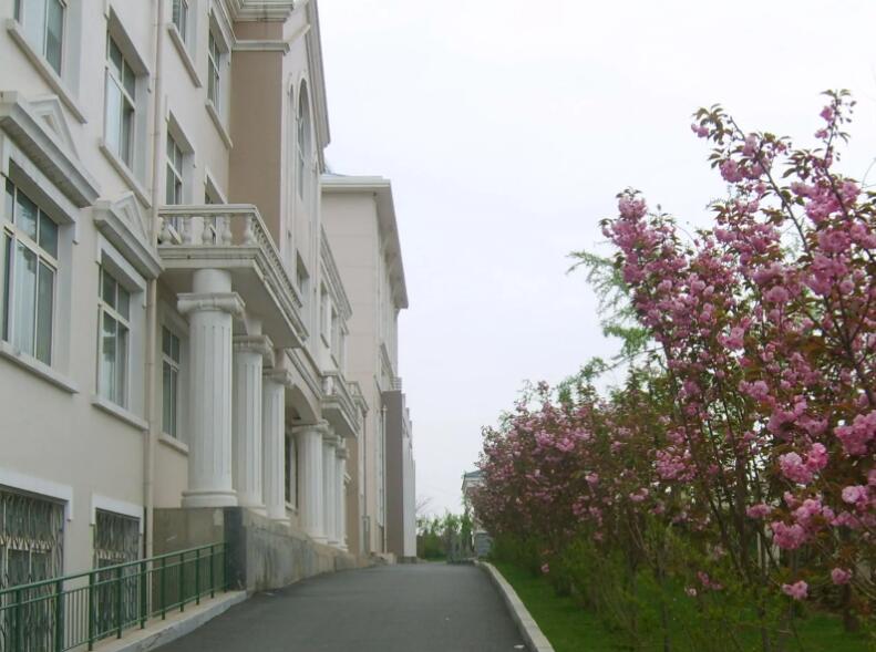大连枫叶国际学校高中部