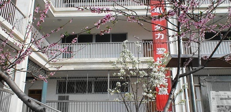 漯河食品职业学院