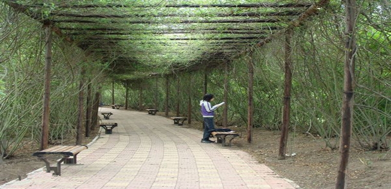 廊坊职业技术学院