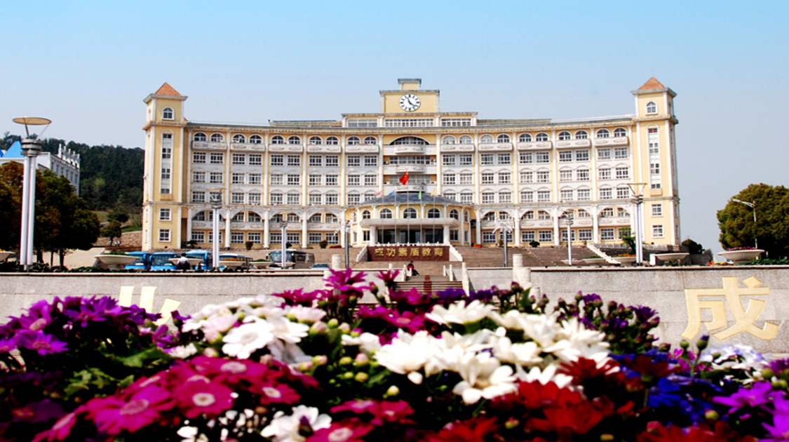 武昌理工学院