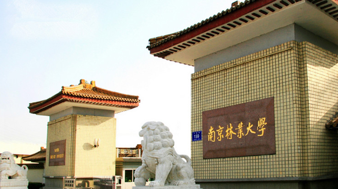 南京林业大学
