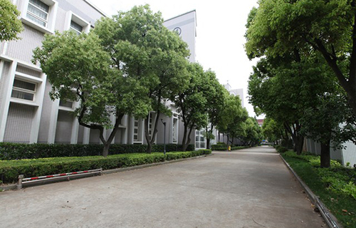 抚顺市第三十七中学