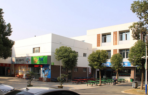 新龙县中学