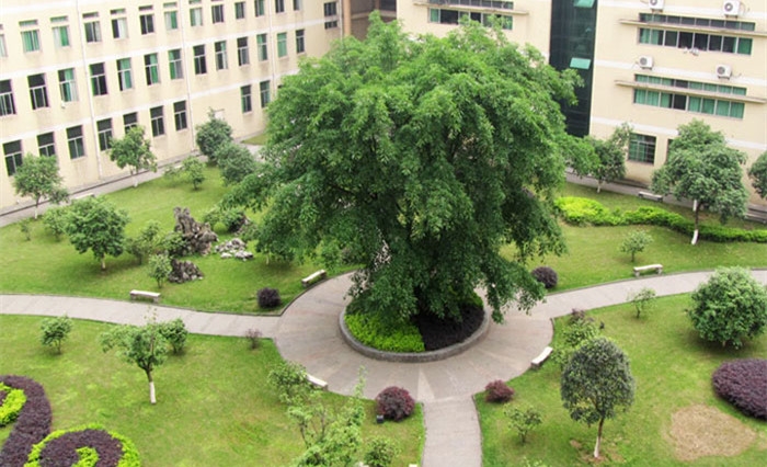 四川化工职业技术学院
