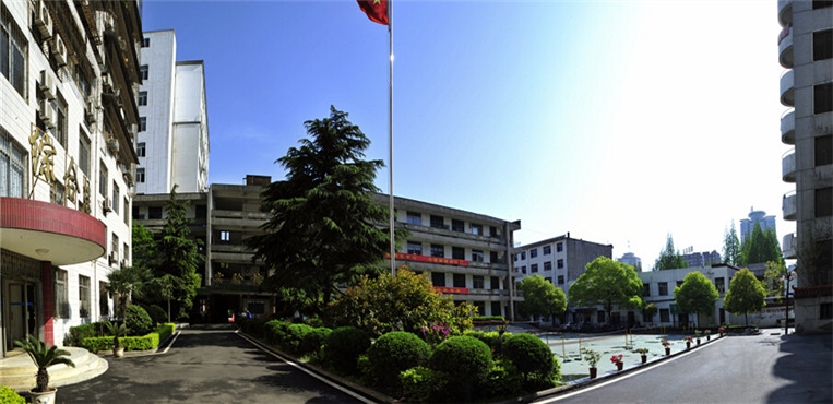 武汉大学医学职业技术学院
