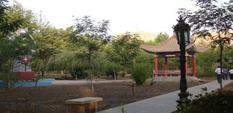 新疆维吾尔医学专科学校