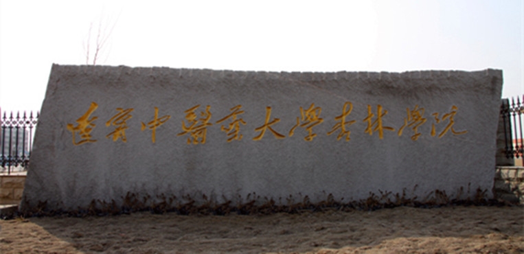 辽宁中医药大学杏林学院