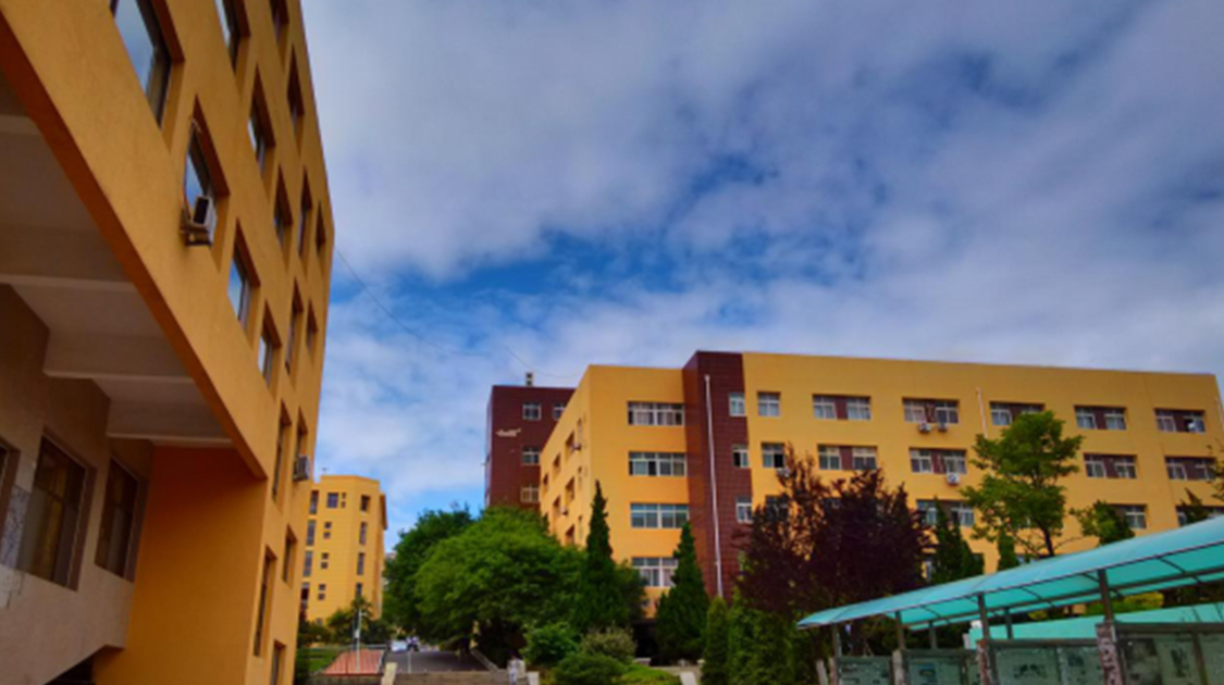 青岛大学