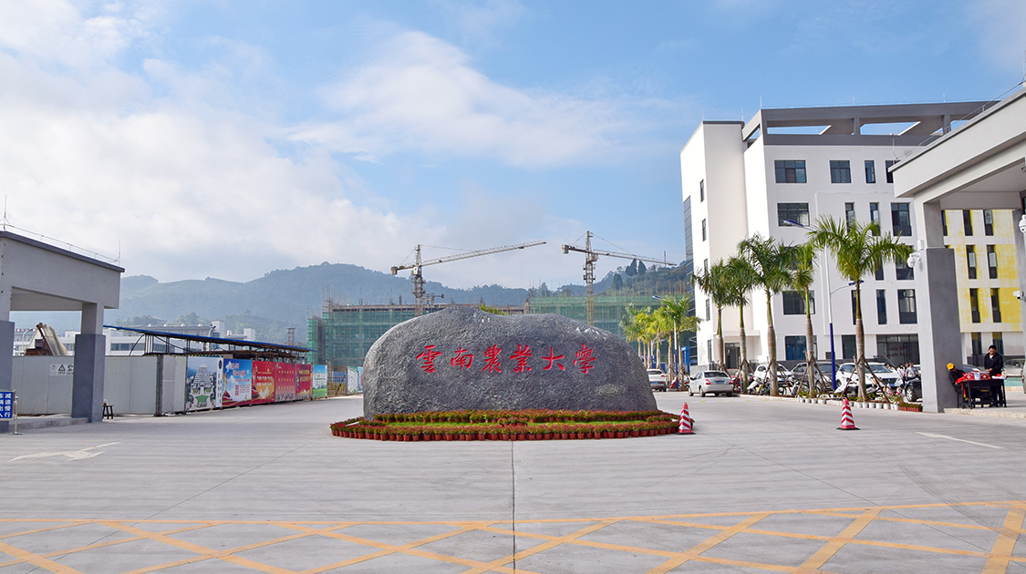 云南农业大学热带作物学院