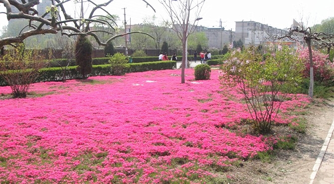 沈阳职业技术学院