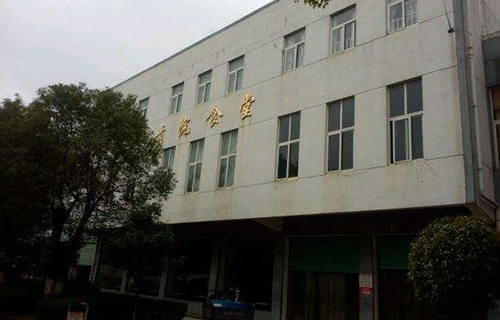 鲁甸县龙树中学