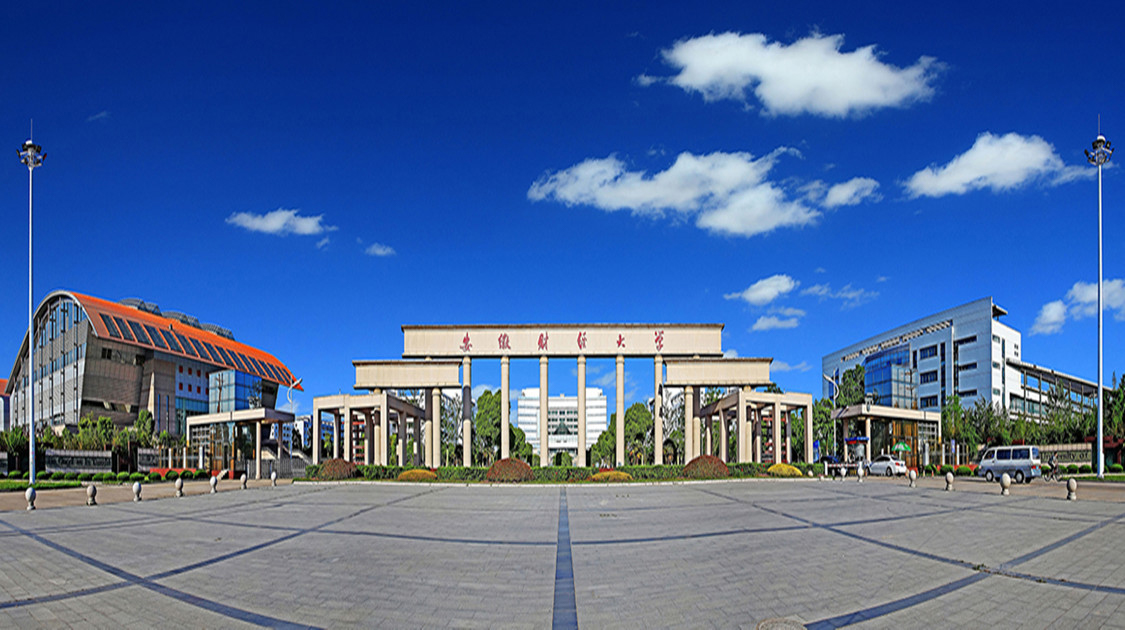 安徽财经大学