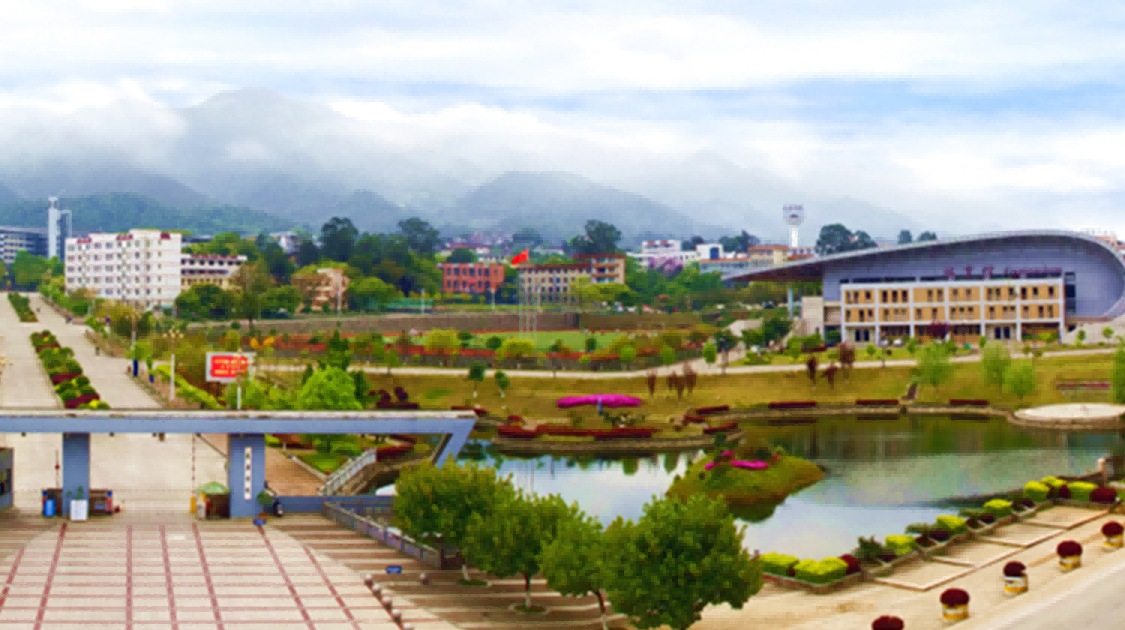 龙岩学院