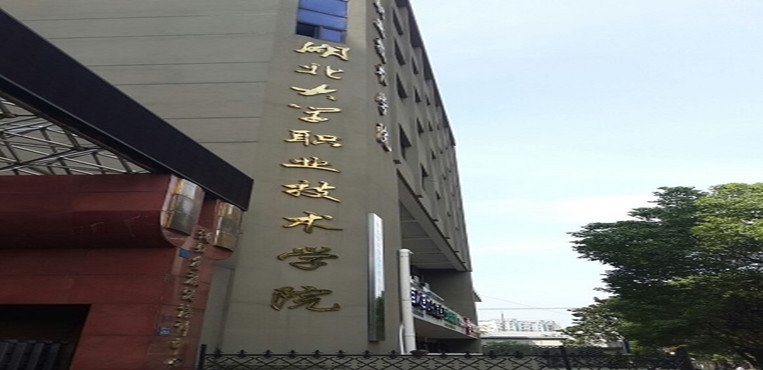 湖北大学职业技术学院
