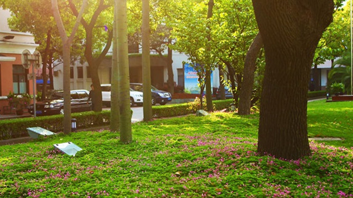 上海电力大学