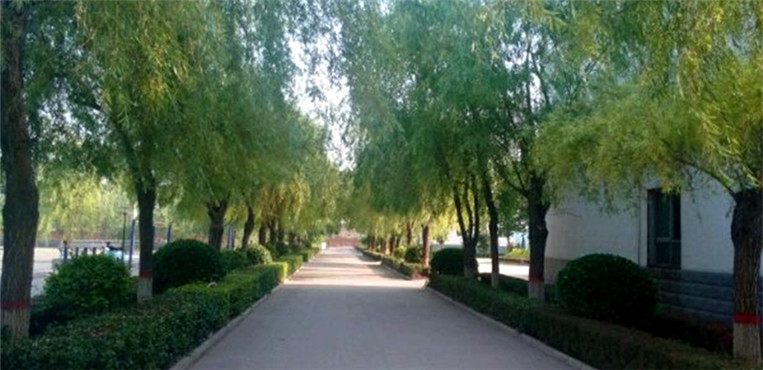 河北艺术职业学院
