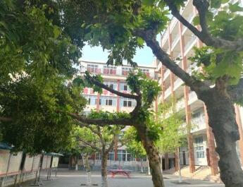 贵州省纳雍县乐治镇乐治中学