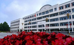宁河县芦台第一中学